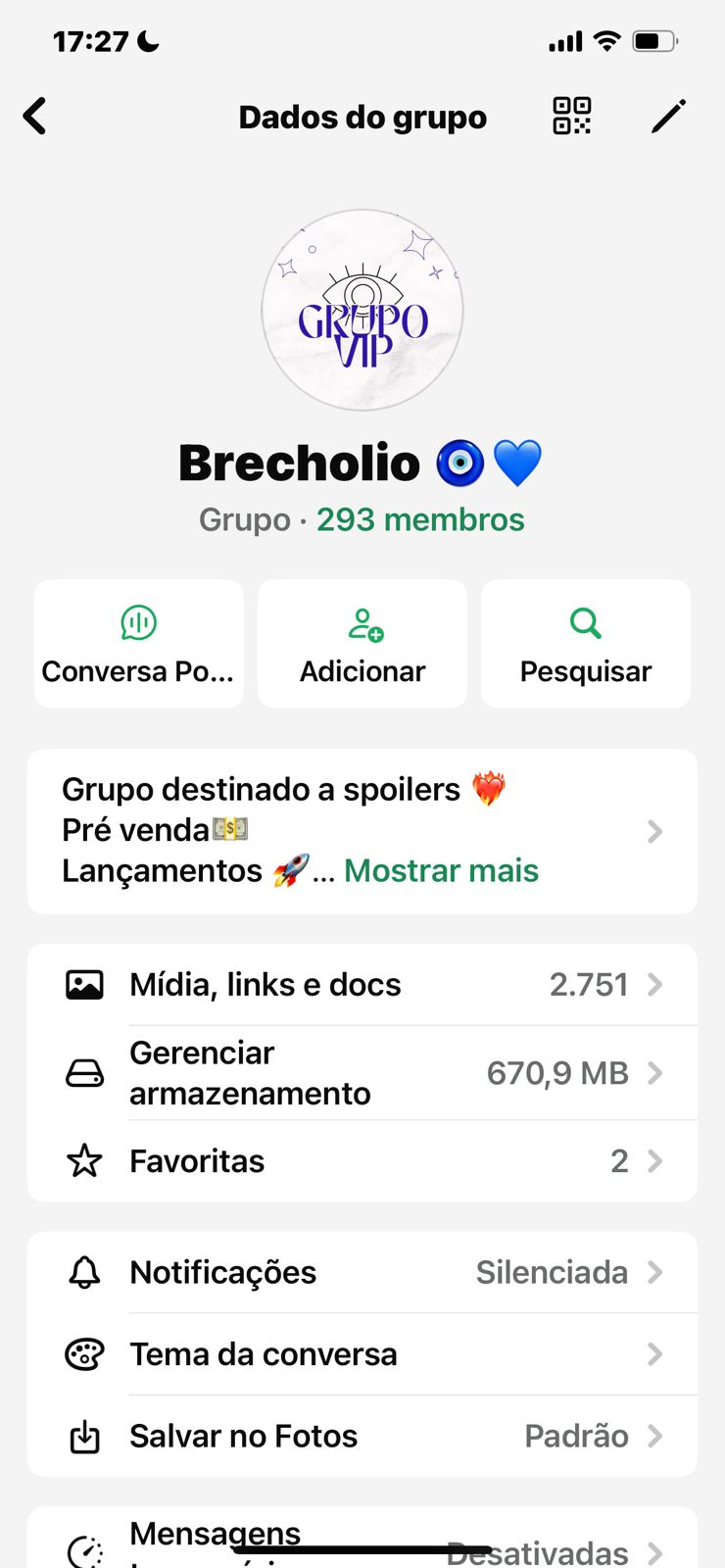 Tela do Grupo VIP do Brechólio no WhatsApp